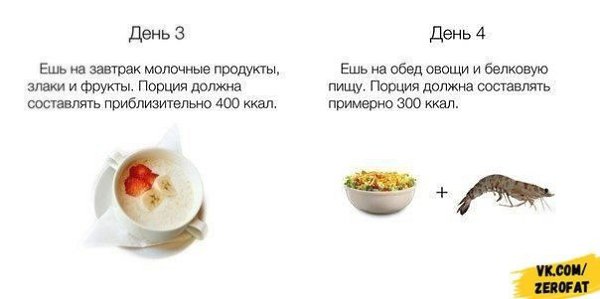 Переходим на правильное питание всего за 20 дней - 2