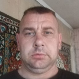 , , 41 