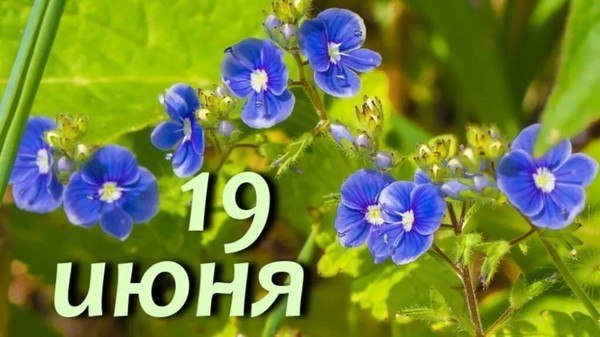 Zv   !!! V - 19  2025  14:44