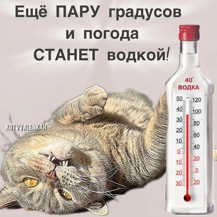   ! - 1  2024  15:46