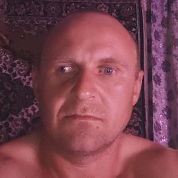 �����, �������, 41 ���