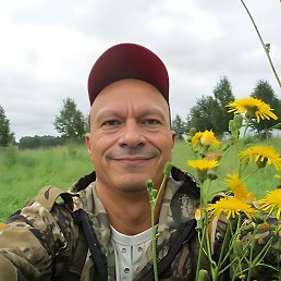 , 53 , 