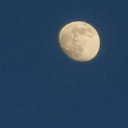 ���� �������, �����, 45 ��� - ��������� 31 ������� 2025 � ������ ���� ����������