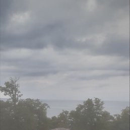 ������, 47 ���, ���������