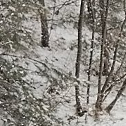 ��������, 40 ���, �����������