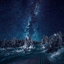 ���� Kolya, �����������, 24 ���� - ��������� 21 ��� 2026