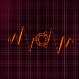 Ing, ������, 61 ���