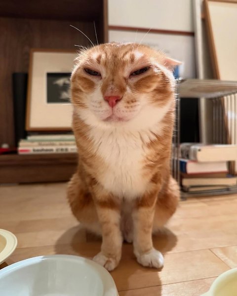    . (Ÿ   )