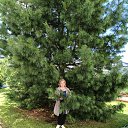 ���� �����, ���������, 61 ��� - ��������� 22 ������ 2025 � ������ ���� ����������