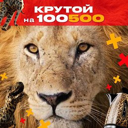 �, ���������, 57 ���