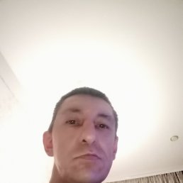 , 44, 