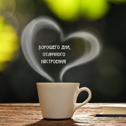  , -, 77  -  19  2024