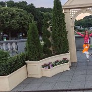 �����, 38 ���, ������