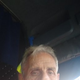 ���� ������, �������, 66 ��� - ��������� 12 �������� 2024