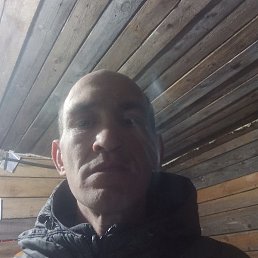 �����, ����, 43 ����