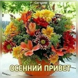 ���� ����, �����������, 59 ��� - ��������� 17 �������� 2025