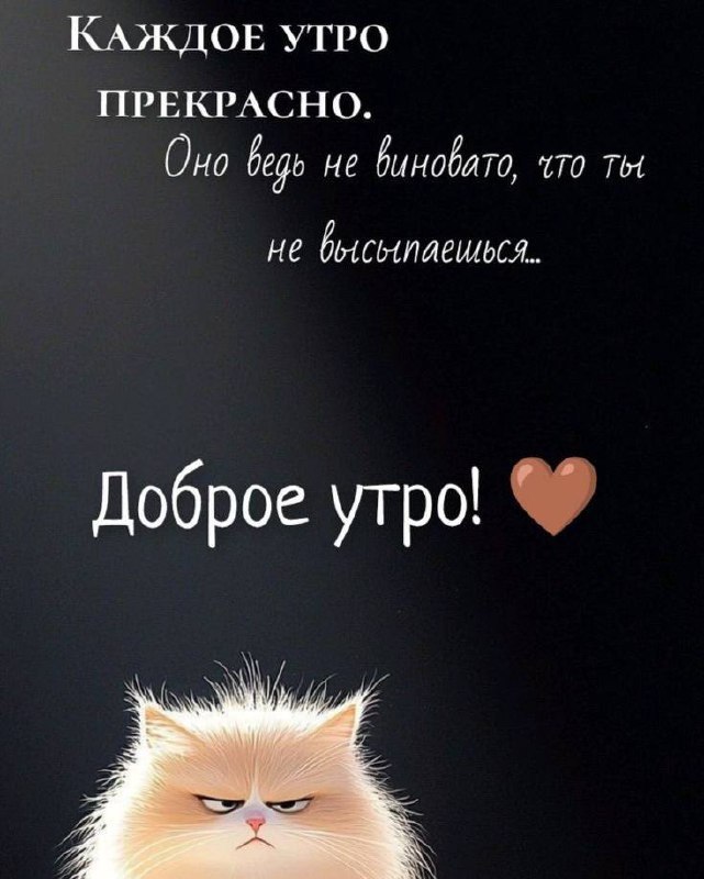   ,    . - 12  2025  07:32