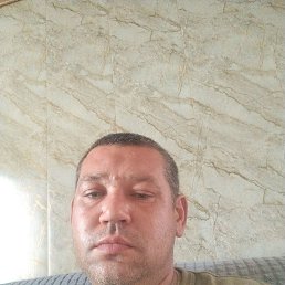 , 39, 