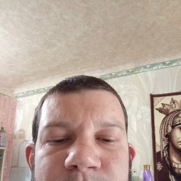 ���� �����, ������, 38 ��� - ��������� 12 ����� 2026
