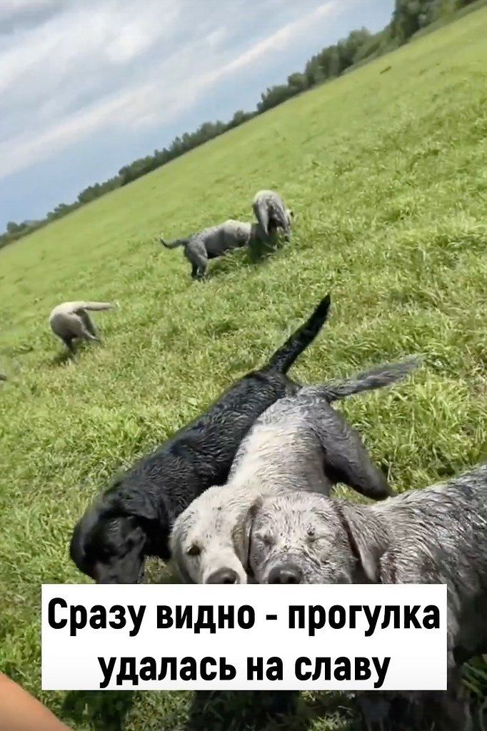 �e��e ������ �o��e, �e� o����a�� ���.����� ������� - 2