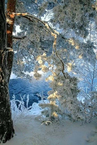 ������ ������� - 2