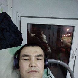 ���� Tolkun, ������, 44 ���� - ��������� 16 ��� 2026