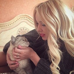 �������, �����������, 22 ����