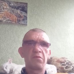 , 49, 