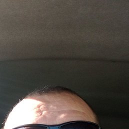 , 46 , 