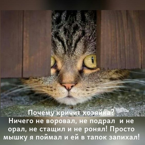   - 20  2024  11:48