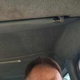 , 57, 