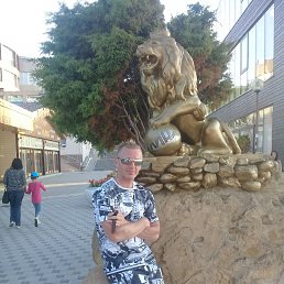 ������, 40 ���, ���������