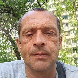 ����, ������, 41 ���