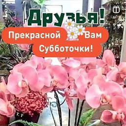 ���� ����, ���������, 36 ��� - ��������� 2 ������� 2023