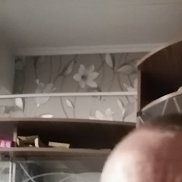 ����, 43 ����, ����