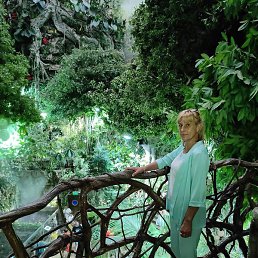 ����, ������, 53 ����