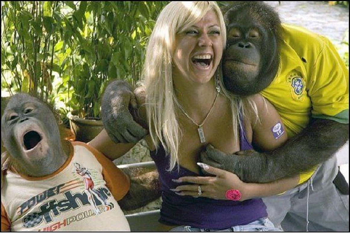 Viktor - 7  2025  05:07