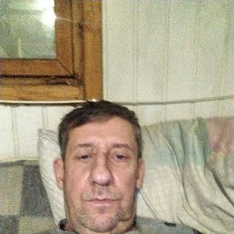 , 53 , 