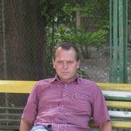 �����, ������-��-����, 50 ���