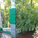 ���� Vera Ivanovna, ����� - ��������� 31 ������� 2026 � ������ ������ ��������