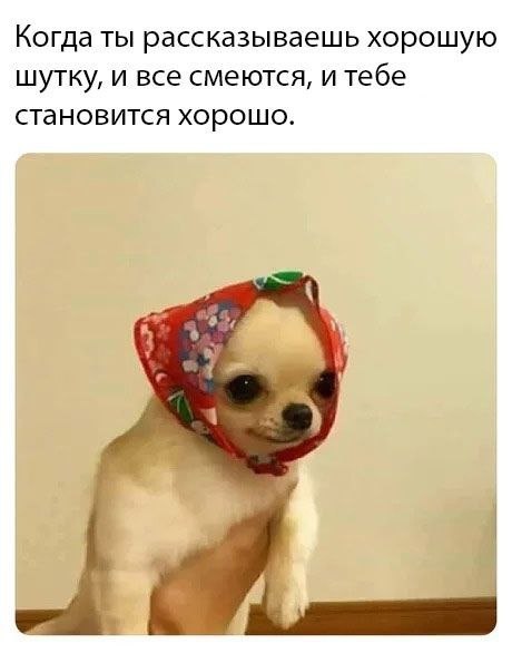    - 20  2024  14:43