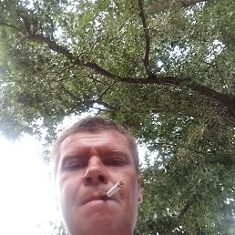 , 40, 