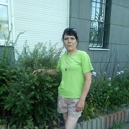 , 38, 