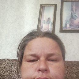 ����, 41 ���, �������