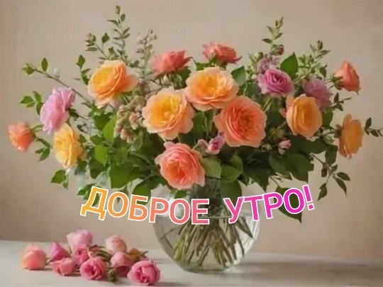   ,    . - 21  2025  21:03