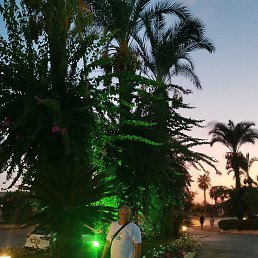 ������, ������, 41 ���