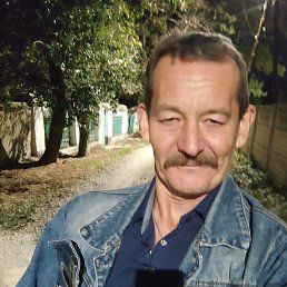 , 61, 