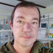 ������, 41 ���, ���������