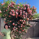 ���� �����, ������, 62 ���� - ��������� 4 ������ 2025