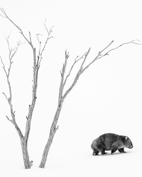   ,    ,   .     ... - 5